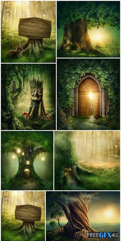 Enchanted Dark Forest 11 Background